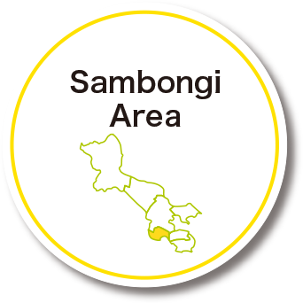 Sambongi Area