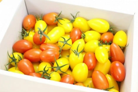 デリシャスファーム