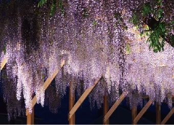 古川地域 写真