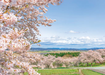 松山地域 写真