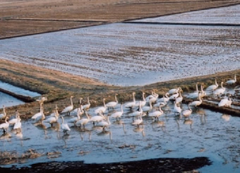 田尻地域 写真