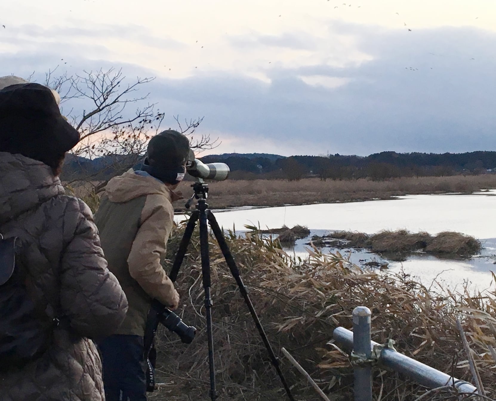 生態系観察の様子