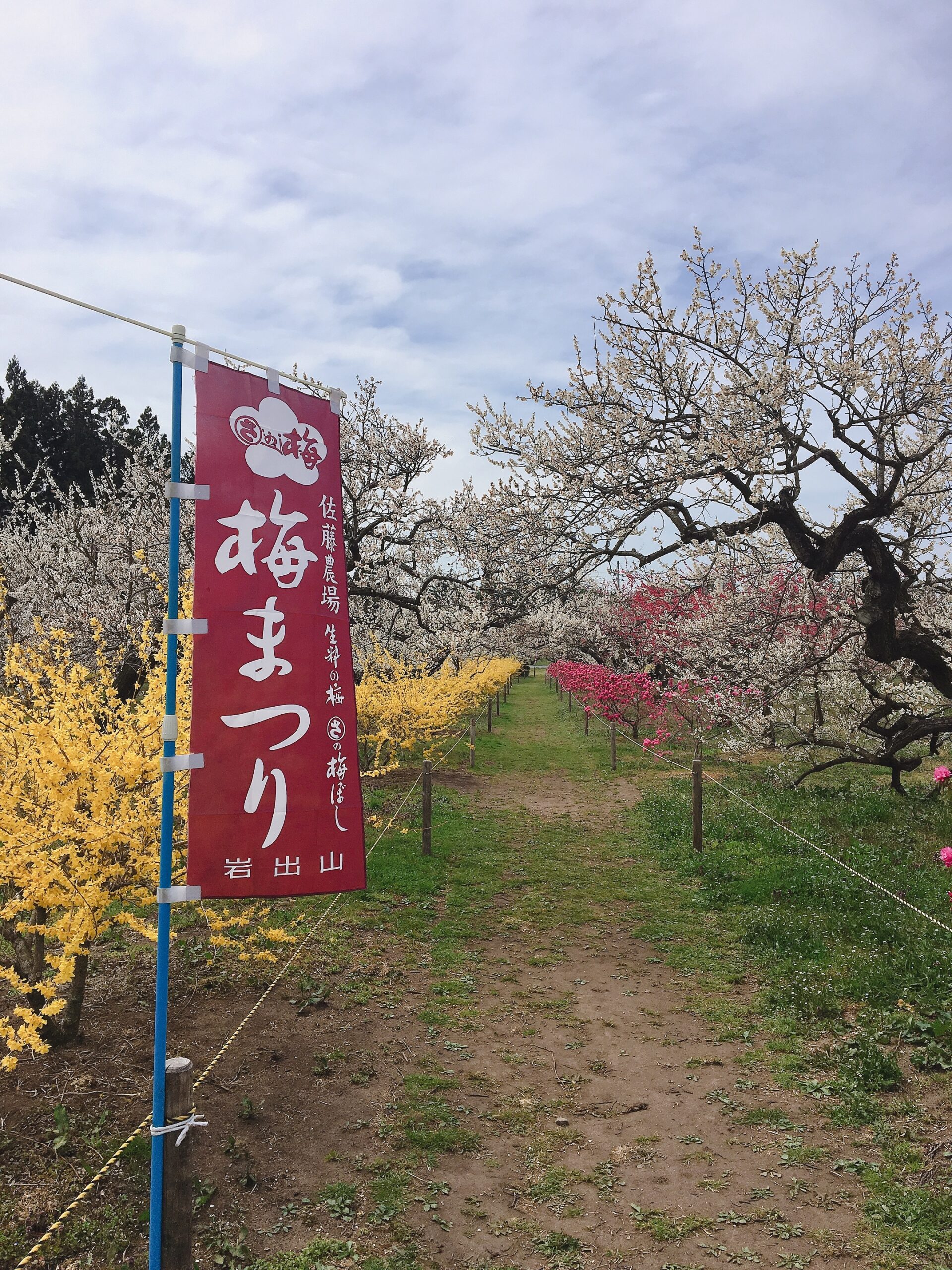 オニコウベスキー場