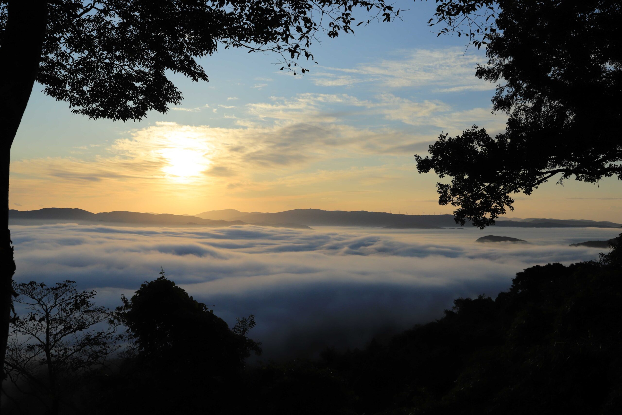 雲海に染まる朝の箟岳山からの景色