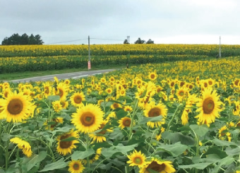 三本木地域 写真